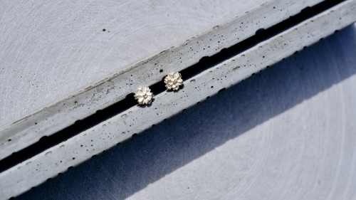 Flowers mini